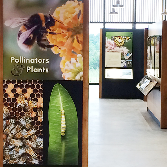 overview of pollinator center